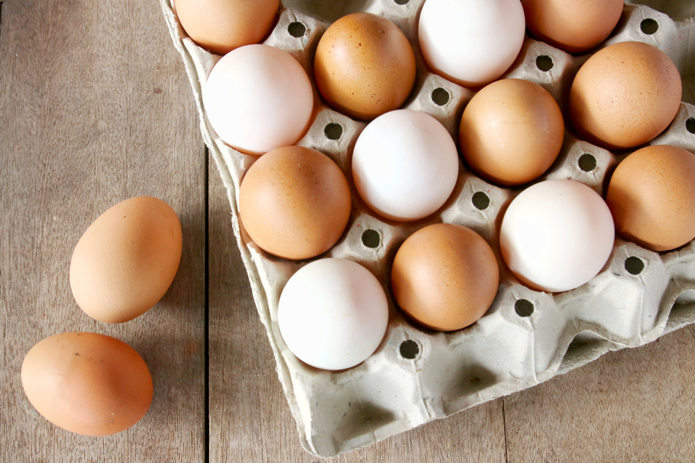 Image: Eggs