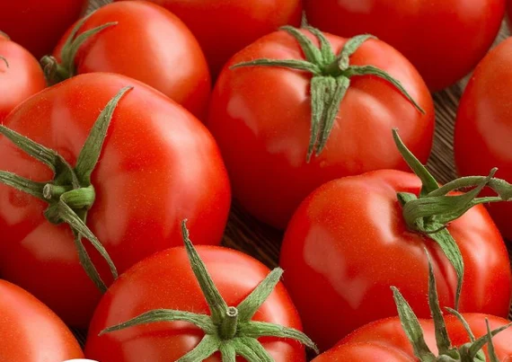 Image: Caribe Tomato